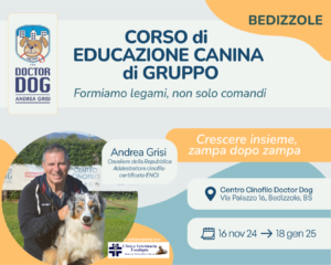 Bedizzole-corsi-educazione-cinofila