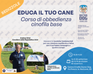 educazione cinofila - Brescia